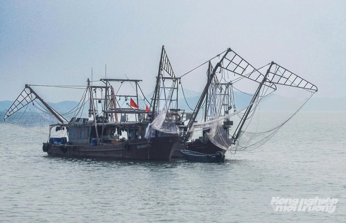 Quang Ninh explores AI to improve fishing vessel monitoring